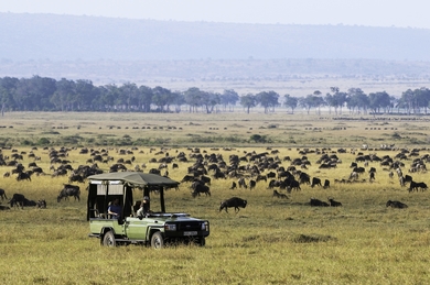 Day 3-5 Masai Mara
