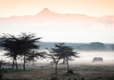 Day 3  Nairobi – Laikipia Plateau