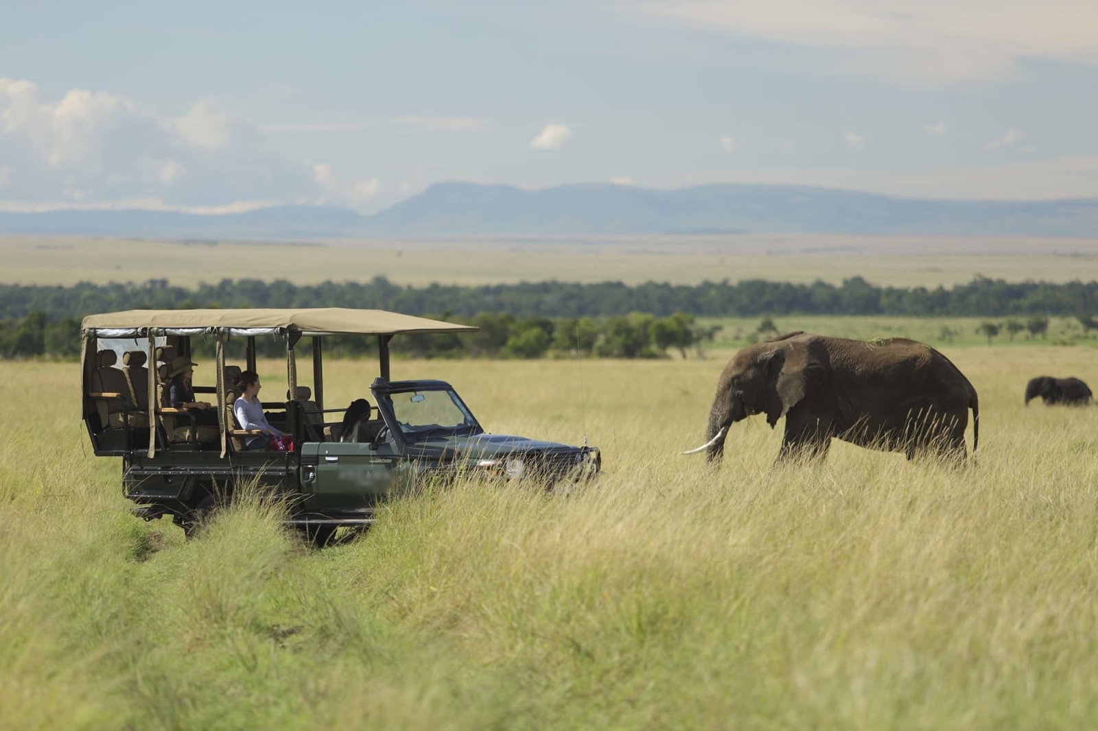 Day 2 Nairobi - Masai Mara